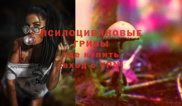 мяу мяу мука Покров