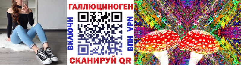 мега онион  Волхов  мориарти телеграм  наркошоп  Галлюциногенные грибы MAGIC MUSHROOMS 